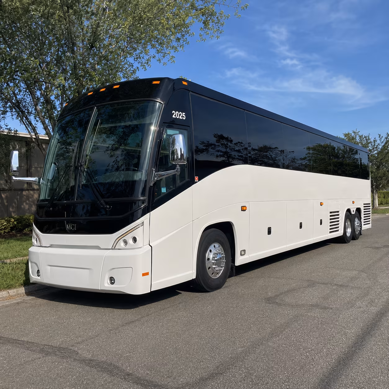 savannah bus rental service area