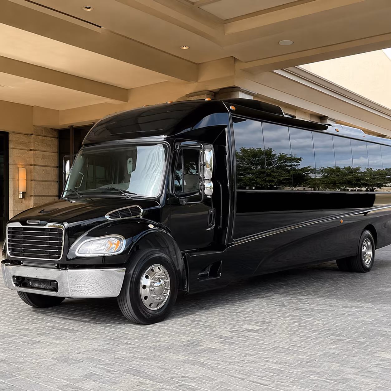 savannah long distance transportation