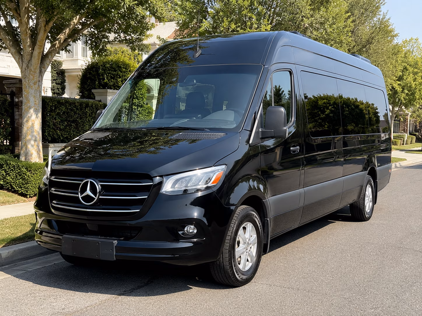 savannah sprinter limousine