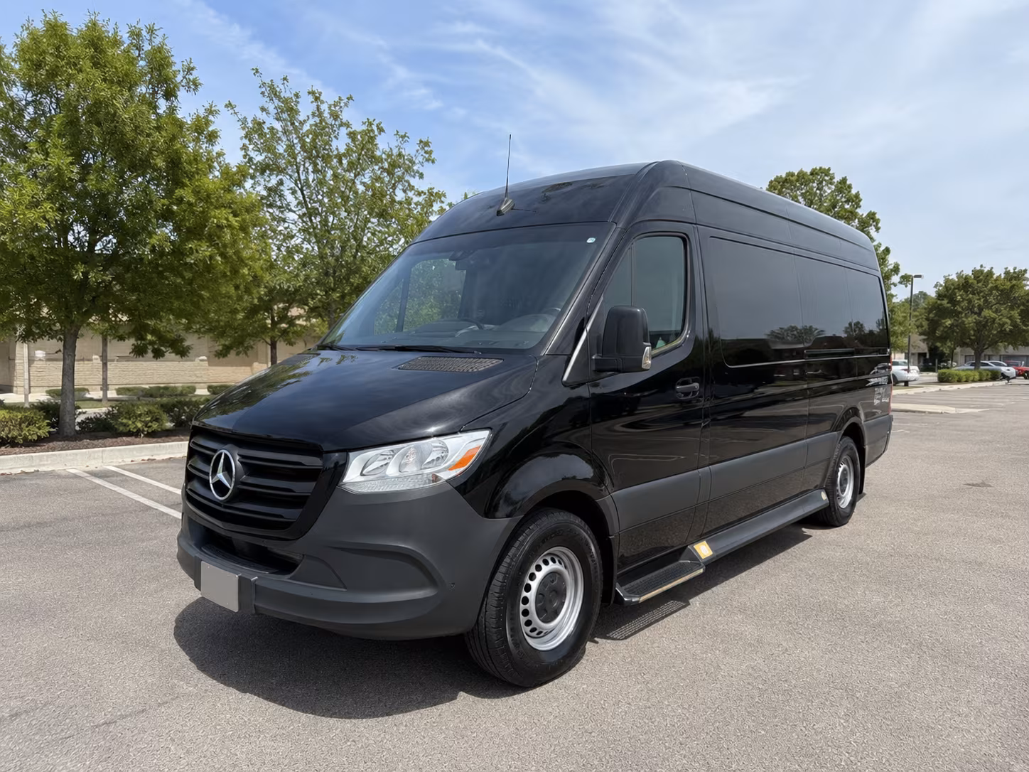 savannah sprinter van with driver